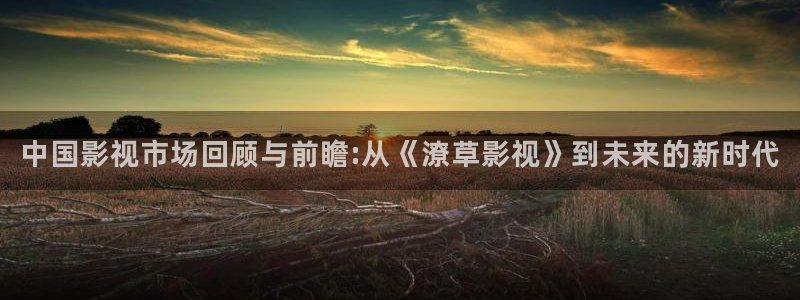 免费桔子视频：中国影视市场回顾与前瞻:从《潦草影视》到未来的新时代