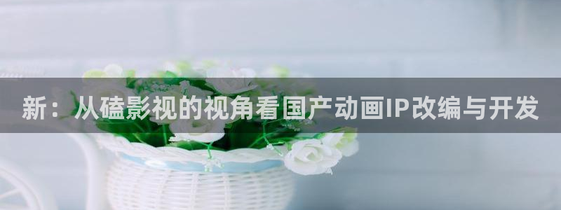 橘子桔子：新：从磕影视的视角看国产动画IP改编与开发