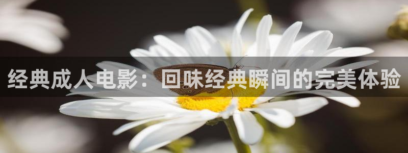 桔子在线视频观看：经典成人电影：回味经典瞬间的完美体验