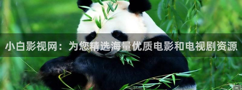 桔子搞笑视频：小白影视网：为您精选海量优质电影和电视剧资源