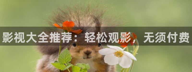 桔子视频免费观看电视剧版：影视大全推荐：轻松观影，无须付费