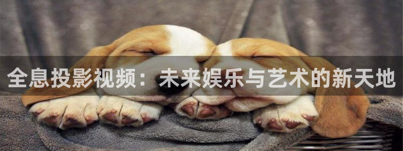 桔子影视软件app下载：全息投影视频：未来娱乐与艺术的新天地