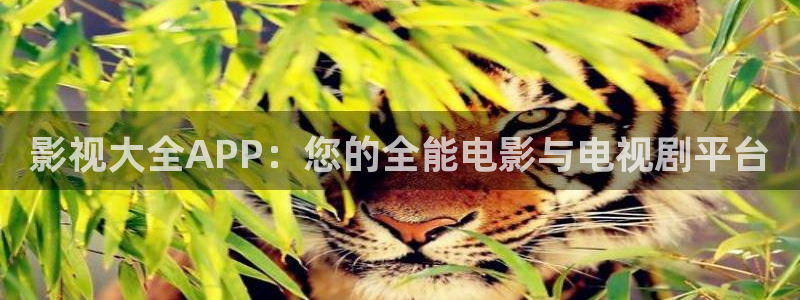 桔子视频电视剧高清资源：影视大全APP：您的全能电影与电视剧平台
