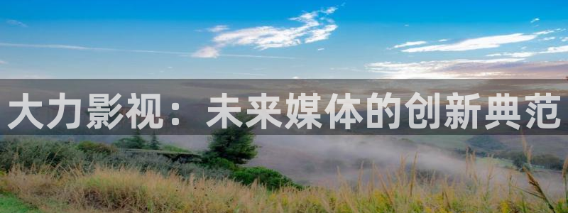 桔子 电影：大力影视：未来媒体的创新典范